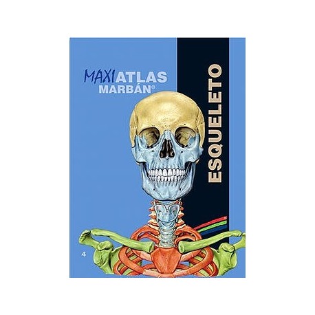 MAXI ATLAS 4 ESQUELETO