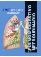 MAXI ATLAS 7 PULMON. DIGESTIVO. NEFROURINARIO
