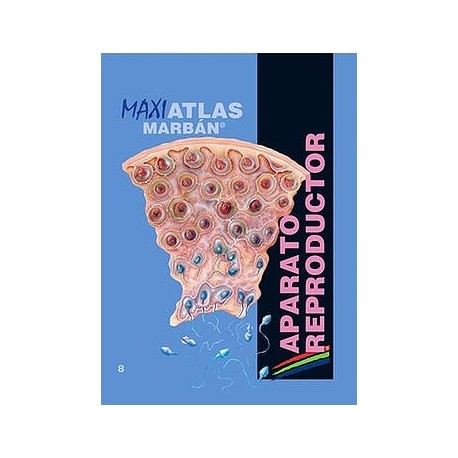 MAXI ATLAS 8 APARATO REPRODUCTOR