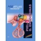 MAXI ATLAS 10 PIEL. GLANDULAS ENDOCRINAS