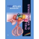 MAXI ATLAS 10 PIEL. GLANDULAS ENDOCRINAS