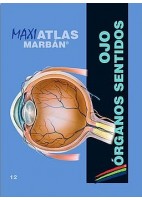 MAXI ATLAS 12 OJO. ORGANOS DE LOS SENTIDOS