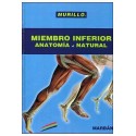 MIEMBRO INFERIOR. ANATOMIA AL NATURAL