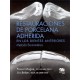RESTAURACIONES DE PORCELANA ADHERIDA EN LOS DIENTES ANTERIORES: UN ENFOQUE BIOMIMETICO