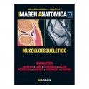 IMAGEN ANATOMICA MUSCULOESQUELETICO