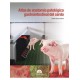 ATLAS DE ANATOMIA PATOLOGICA GASTROINTESTINAL DEL CERDO