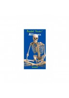 ATLAS DE ANATOMIA. POCKET MASTER