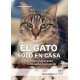 EL GATO SOLO EN CASA. COMO HACER AFORTUNADOS A LOS GATOS DOMESTICOS