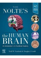 NOLTE'S THE HUMAN BRAIN