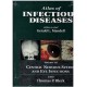 ATLAS OF INFECTIOUS DISEASES (VOLUMEIII) CENTRAL NERVOUS SYSTEM AND EYE INFECTIONS