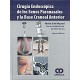CIRUGIA ENDOSCOPICA DE LOS SENOS PARANASALES Y LA BASE CRANEAL ANTERIOR