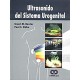 ULTRASONIDO DEL SISTEMA UROGENITAL