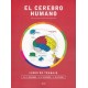 EL CEREBRO HUMANO. LIBRO DE TRABAJO