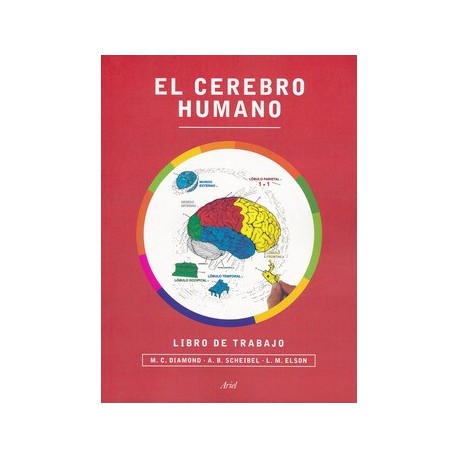 EL CEREBRO HUMANO. LIBRO DE TRABAJO