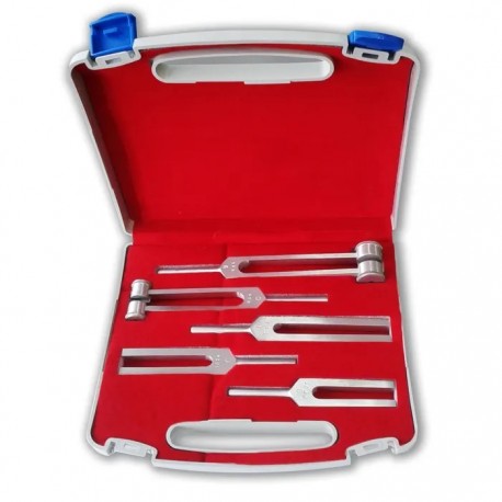 ESTUCHE DE 5 DIAPASONES SAEHAN