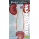 NEFRO-URO. POCKET CLINIC