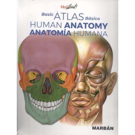 ATLAS BASICO DE ANATOMIA HUMANA - BASIC ATLAS OF HUMAN ANATOMY