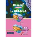 LA CELULA 8ª EDICION (HANDBOOK)