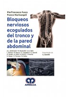 BLOQUEOS NERVIOSOS ECOGUIADOS DEL TRONCO Y DE LA PARED ABDOMINAL
