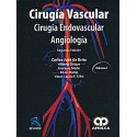 CIRUGIA VASCULAR. CIRUGIA ENDOVASCULAR - ANGIOLOGIA (4 VOLS.)