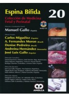 ESPINA BIFIDA + DVD (COLECCION DE MEDICINA FETAL Y PERINATAL, VOL. 20)