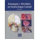 ESTRATEGIAS Y ABORDAJES EN NEUROCIRUGIA CRANEAL, 2 VOLS.