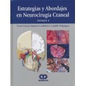 ESTRATEGIAS Y ABORDAJES EN NEUROCIRUGIA CRANEAL, 2 VOLS.
