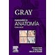 GRAY FLASHCARDS DE ANATOMIA