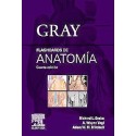 GRAY FLASHCARDS DE ANATOMIA