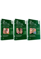 THE NETTER COLLECTION OF MEDICAL ILLUSTRATIONS. VOLUME 9 DIGESTIVE SYSTEM (3 VOLUME SET) (DIGITAL VERSION INCLUDED)
