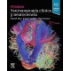 FITZGERALD. NEUROANATOMIA CLINICA Y NEUROCIENCIA