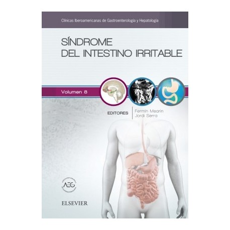 SINDROME DEL INTESTINO IRRITABLE (CLINICAS IBEROAMERICANAS DE GASTROENTEREOLOGIA Y HEPATOLOGIA VOL.8)