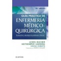 GUIA PRACTICA DE ENFERMERIA MEDICO-QUIRURGICA. EVALUACION Y ABORDAJE DE PROBLEMAS CLINICOS