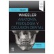 WHEELER. ANATOMIA, FISIOLOGIA Y OCLUSION DENTAL (INCLUYE VERSION DIGITAL EN INGLES)