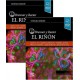BRENNER Y RECTOR. EL RIÑON (2 VOL.) INCLUYE VERSION DIGITAL EN INGLES