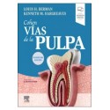 COHEN. VIAS DE LA PULPA (INCLUYE VERSION DIGITAL EN INGLES)