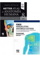 LOTE NETTER ATLAS DE ANATOMIA HUMANA + FENEIS NOMENCLATURA ANATOMIA ILUSTRADA