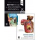 LOTE NETTER ATLAS DE ANATOMIA HUMANA ABORADAJE REGIONAL + ANATOMIA HUMANA PARA ESTUDIANTES DE CIENCIAS DE LA SALUD