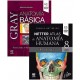 LOTE GRAY ANATOMIA BASICA + NETTER ATLAS DE ANATOMIA HUMANA ABORDAJE REGIONAL