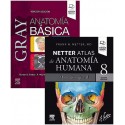 LOTE GRAY ANATOMIA BASICA + NETTER ATLAS DE ANATOMIA HUMANA ABORDAJE REGIONAL