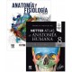 LOTE NETTER ANATOMIA HUMANA. ABORDAJE REGIONAL + PATTON ANATOMIA Y FISIOLOGIA
