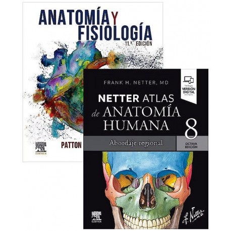 LOTE NETTER ANATOMIA HUMANA. ABORDAJE REGIONAL + PATTON ANATOMIA Y FISIOLOGIA