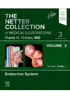 THE NETTER COLLECTION OF MEDICAL ILLUSTRATIONS. VOLUME 2. ENDOCRINE SYSTEM