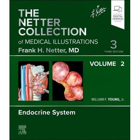 THE NETTER COLLECTION OF MEDICAL ILLUSTRATIONS. VOLUME 2. ENDOCRINE SYSTEM