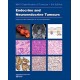 WHO CLASSIFICATION OF TUMOURS: ENDOCRINE AND NEUROENDOCRINE TUMOURS
