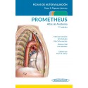 PROMETHEUS. ATLAS DE ANATOMIA. FICHAS DE AUTOEVALUACION. TOMO 2: ORGANOS INTERNOS