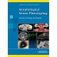 MORPHOLOGICAL MOUSE PHENOTYPING