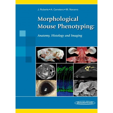 MORPHOLOGICAL MOUSE PHENOTYPING