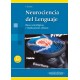 NEUROCIENCIA DEL LENGUAJE