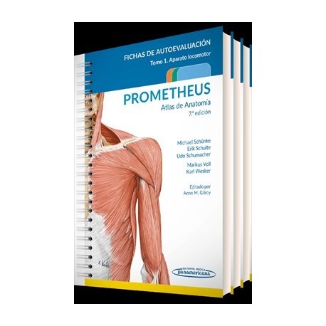 PROMETHEUS. ATLAS DE ANATOMIA. FICHAS DE AUTOEVALUACION. COLECCION 3 TOMOS